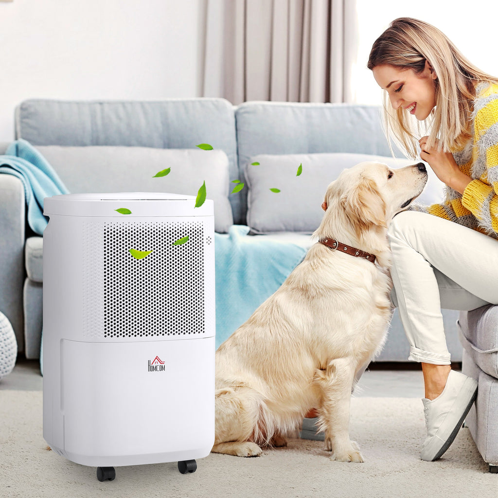 10L/Day Portable Electric Dehumidifier – Bedroom, Basement & Laundry | Nova Home UK